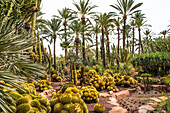  Elche, Huerto de Cura Park, world&#39;s largest palm and succulent plant population, World Heritage Site, Province of Alicante, Spain 