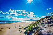  Late autumn mood on the Costa Blanca, on the beach of Oliva Nova, province of Alicante, Spain 