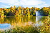  Autumn in the Lech meadows, from Augsburg Gersthofen, Bavaria, Germany 