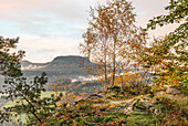  View of the Lilienstein rock in autumn, Saxony, Germany 