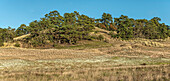  Inland Dunes Nature Reserve near Klein Schmölen, the largest inland dune in Europe, Mecklenburg-Western Pomerania, Germany 