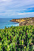  Coastal section in the region of Colares, Lisbon District, Portugal 