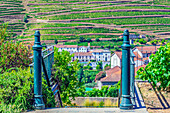  Impressions of a winery near Pinhao, Portugal 