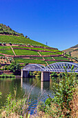  City views of Pinhao, vineyards and the Douro River, Portugal 