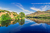  View from the Spanish side, Salamanca region, Spain to the area of the town of Barca d&#39; Alva in Portugal 