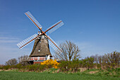 Windmühle Oldsum, Insel Föhr, Schleswig-Holstein, Deutschland