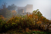  Misty ruins of Lobdeburg behind bushy autumn vegetation, mysterious, quiet atmosphere, Jena, Thuringia, Germany 