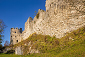  At the castle ruins of Hohenfreyberg in the Ostallgäu near Pfronten in autumn, Bavaria, Germany, Europe 