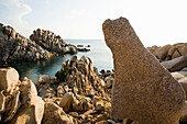  Bizarre and huge granite rocks by the sea, sunset, Spiaggia Valle della Luna, Capo Testa, near Santa Teresa di Gallura, Sardinia, Italy 