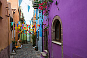  Decorated alley and colorful houses, Feast of the Madonna of Regnos Altos, Bosa, Oristano District, Sardinia, Italy 