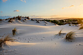  Lonely white sandy beach with dunes, sunrise, Porto Pino, Sardinia, south coast, Italy 