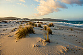  Lonely white sandy beach with dunes, sunrise, Porto Pino, Sardinia, south coast, Italy 