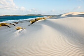 Einsamer weißer Sandstrand mit Dünen, Porto Pino, Sardinien, Südküste, Italien