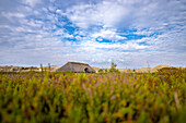  Iron Age stable house, Ice Age, nature experience area Vogelkoje Meeram, nature reserve Amrumer Dünen, heathland, heath, heather, hiking trail, hiker, dune, North Frisian Island, North Frisia, Schleswig-Holstein, Schleswig-Holstein Wadden Sea National Park, Amrum, \n 