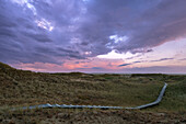  Boardwalks through dune landscape at dusk, heathland, heath, heather, hiking trail, Amrum Dunes nature reserve, hiker, dune, North Frisian Island, North Frisia, Schleswig-Holstein, Schleswig-Holstein Wadden Sea National Park, Amrum, \n 