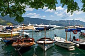  Small harbor and boats in Budva, Medieval town in Montenegro, Adriatic Sea, Adriatic coast, Budva Riviera 