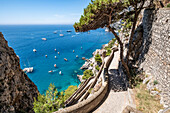  Via Krupp on Capri, Capri, Gulf of Naples, Italy 