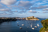 Blick auf Marina Corricella und Terra Murata, Insel Procida, Golf von Neapel, Italien