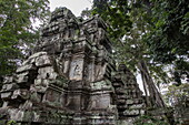  Trees growing over ruins of Ta Prohm temple in the Hindu-Buddhist temple complex of Angkor Wat, Angkor Wat, near Siem Reap, Siem Reap Province, Cambodia, Asia 