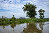  River cruise ship RV Mekong Discovery (Thurgau Travel) at anchor on the Tonle Sap River with trees in the foreground, Phsar Chhnang, Kampong Chhnang, Kampong Chhnang, Cambodia 