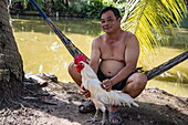  Man relaxing on hammock and holding rooster, Long Son, Phu Tan, An Giang, Vietnam, Asia 