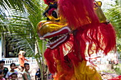  Dragon dance in Long Son village, Phu Tan, An Giang, Vietnam, Asia 