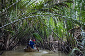  Excursion with a sampan boat through coconut trees and jungle on a branch of the Mekong in the hinterland of Ben Tre in the Mekong Delta, Quoi Son, Chau Thanh, Ben Tre, Vietnam, Asia 