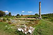 Ruins of the Temple of Artemis. Selcuk, Turkey.