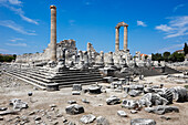 The ruins of the Temple of Apollo at Didyma. Didim, Aydin Province, Turkey.