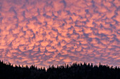  Red mammatus clouds at blue hour over the mountain forest, Fellhorn, Stillachtal, mammatus, clouds, Alps, Oberallgäu, Germany\n 