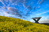  Saarpolygon in front of a sea of flowers, Ensdorf, Saarlouis district, steel sculpture, memorial to the end of coal mining, Saar region, grayscale, Saarland, Germany\n 