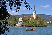  at Lake Bled with Lake Island and Sveti Maria, Bled, Julian Alps, Slovenia 