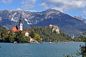  at Lake Bled with lake island Sveti Maria and castle, Bled, Julian Alps, Slovenia 