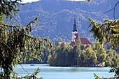  at Lake Bled with Lake Island and Sveti Maria, Bled, Julian Alps, Slovenia 