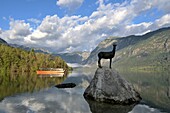  At Lake Bohinj near Ribcev Laz, Triglav National Park, Julian Alps, Slovenia 