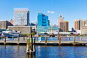 Inner Harbor (Innenhafen) mit Historic Ships Baltimore in Baltimore, Maryland, USA