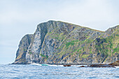  Norway, Runde Island, Bird Cliffs 