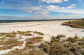 Der Ostsee Strand bei Prerow, Mecklenburg-Vorpommern, Deutschland 