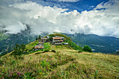  Alpine settlement Madonna della Neve on a meadow ridge, GTA, Grande Traversée des Alpes, Biella, Alpi Biellesi, Valais Alps, Piedmont, Italy 