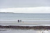 Kilronan's bay, Inishmore, the largest of the Aran Islands, Galway Bay, West Coast, Republic of Ireland, North-western Europe