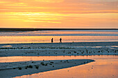 low tide at sunset in the Mont-Saint-Michel bay, Manche department, Normandy region, France, Europe