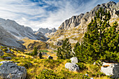  High valley Buni i Jezerces, Prokletije Mountains, Albania, Montenegro, Europe 