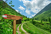  Hiking sign in Hasental, Ahrntal, Venediger Group, South Tyrol, Italy 