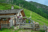  Several people sitting for a rest at an alpine pasture, Alprechtalm, Ahrntal, Venediger Group, South Tyrol, Italy 