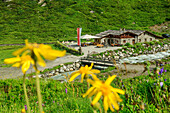  Alpine pasture with sun terrace next to mountain stream, Kehreralm, Ahrntal, Venediger Group, South Tyrol, Italy 