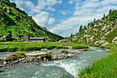  Mountain stream flows past alpine pasture, Lahneralm, Ahrntal, Venediger Group, South Tyrol, Italy 