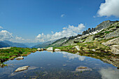  Small pond in the Ahrntal with Zillertal Alps in the background, Ahrntal, Zillertal Alps, South Tyrol, Italy 