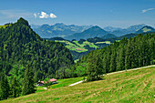  Alpine meadow with alpine pasture and Mangfall Mountains in the background, Geigelstein, Chiemgau Alps, Upper Bavaria, Bavaria, Germany 