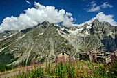  Dilapidated alpine huts in Val Ferret with Petites Jorasses and Aiguille de Leschaux in the background, Val Ferret, Tour du Mont Blanc, Mont Blanc Group, Graian Alps, Aosta Valley, Italy 