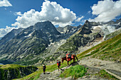  Fully loaded mule being led downhill, Val Ferret, Tour du Mont Blanc, Mont Blanc Group, Graian Alps, Aosta Valley, Italy 